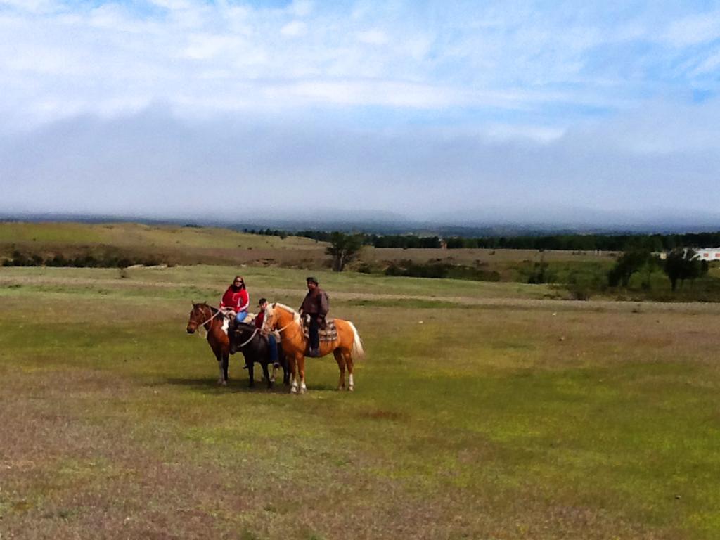 Estancia Rio De Los Ciervos ปุนตาอาเรนาส ภายนอก รูปภาพ